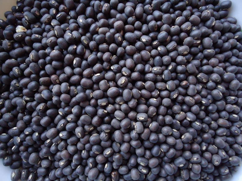 Black Mung Beans