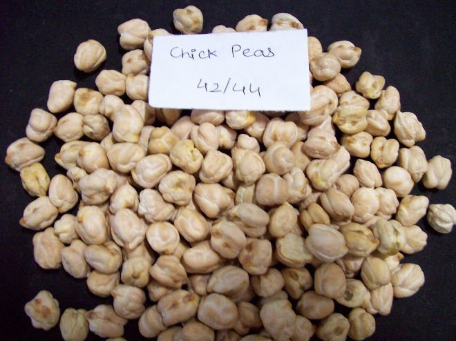 CHICK PEAS MEXİCO 42-44