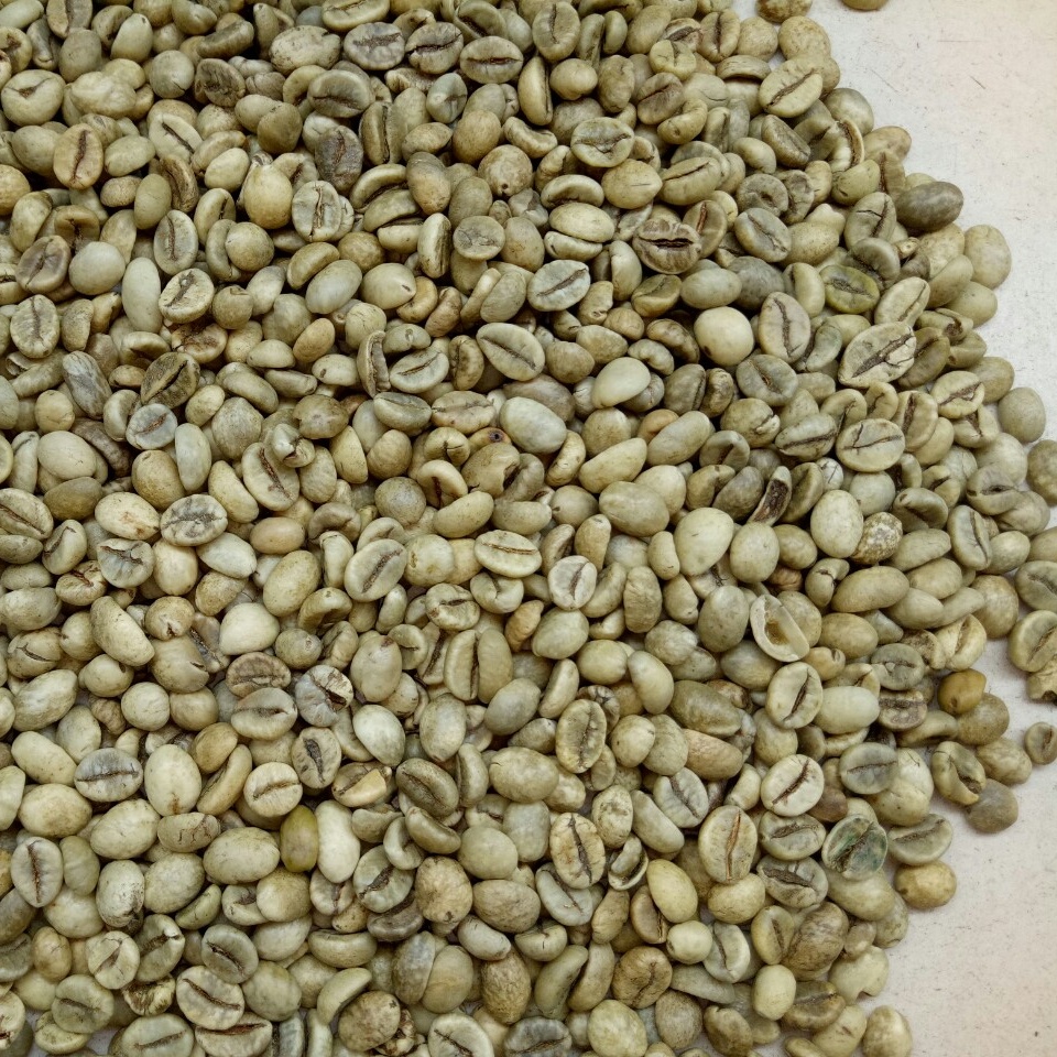 Coffee Robusta - Kahve Robusta