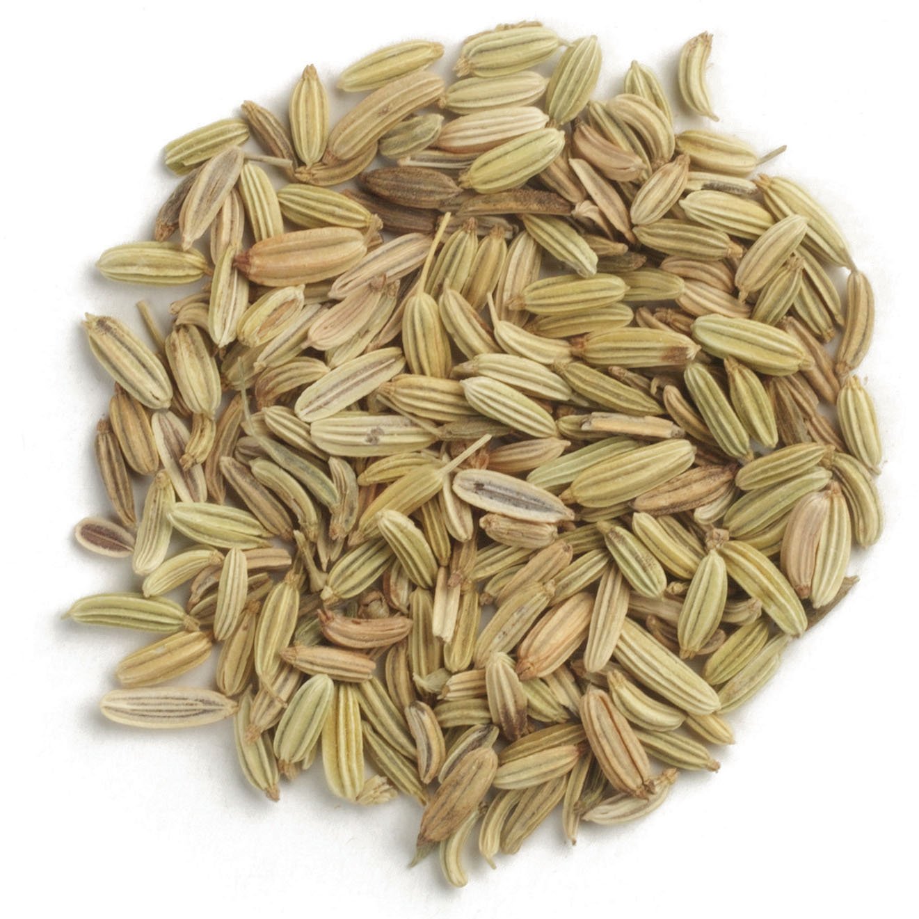 Fennel - Rezene