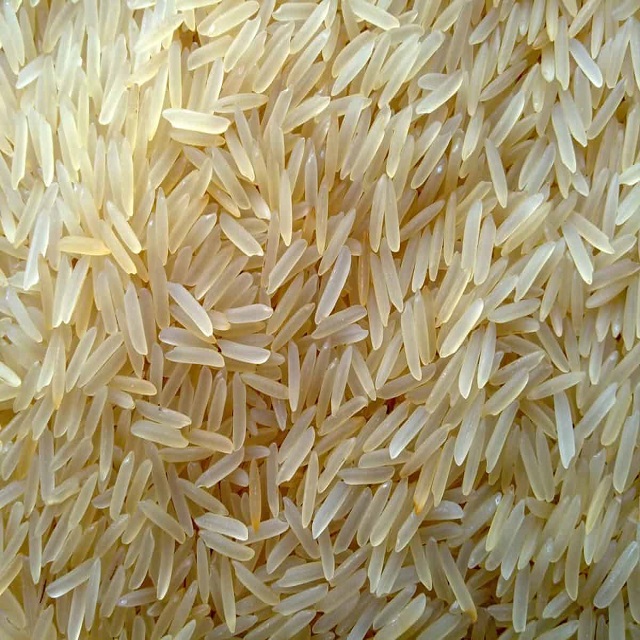 GOLDEN SELLA RICE