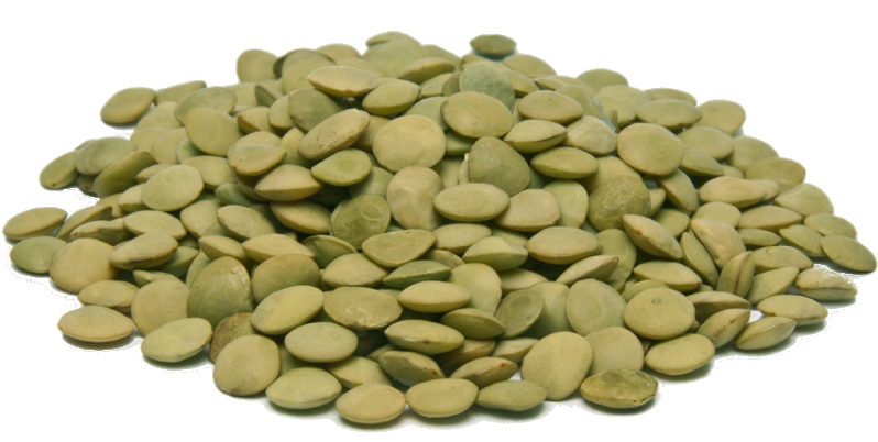 GREEN LENTIL