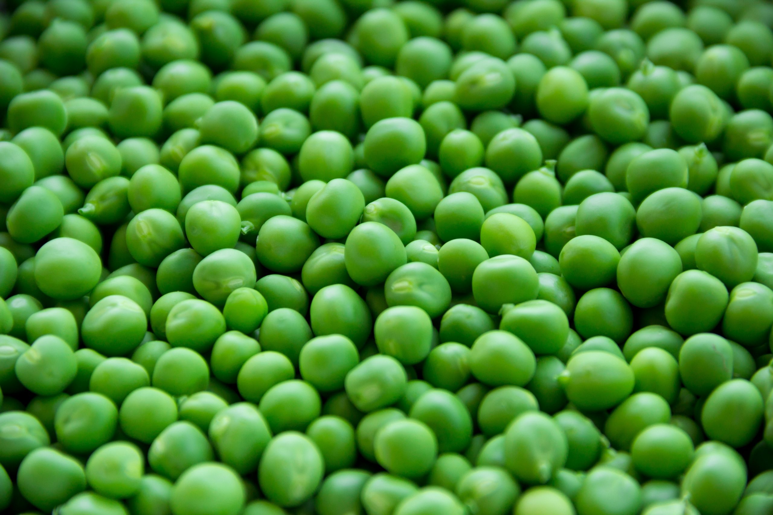 GREEN PEAS