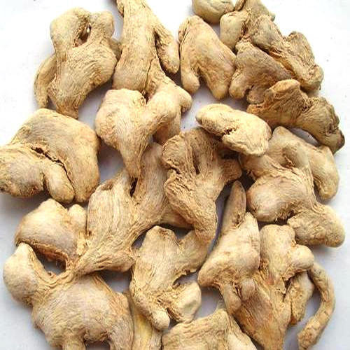 Ginger - Zencefil