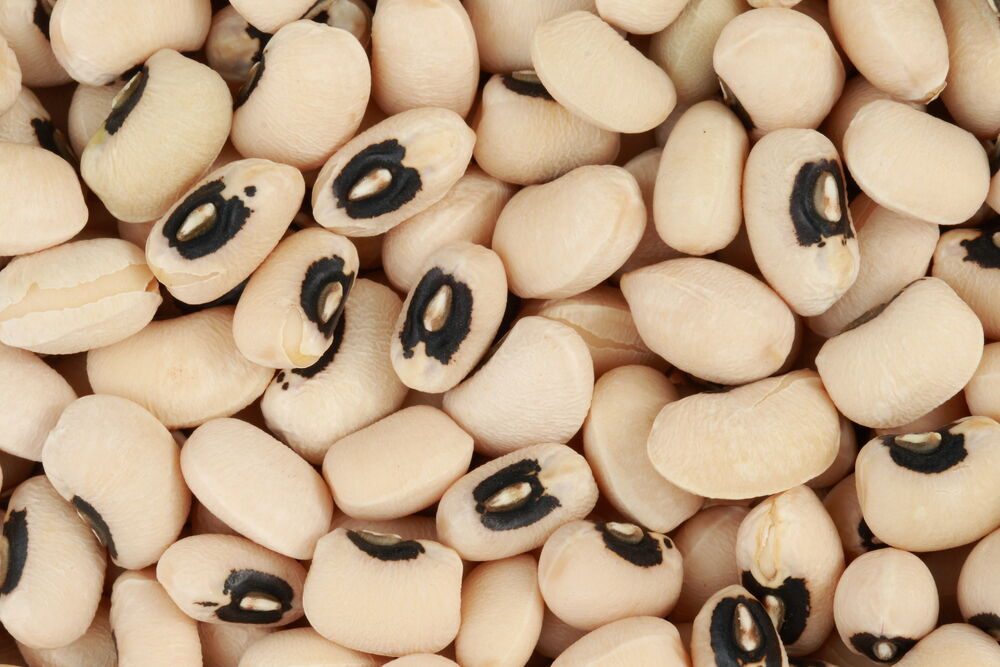 KIDNEY BEANS