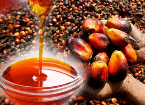 Palm Oil (Vegetable Oil)