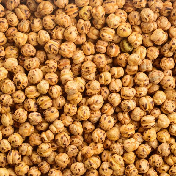 Roasted Chickpea - Leblebi