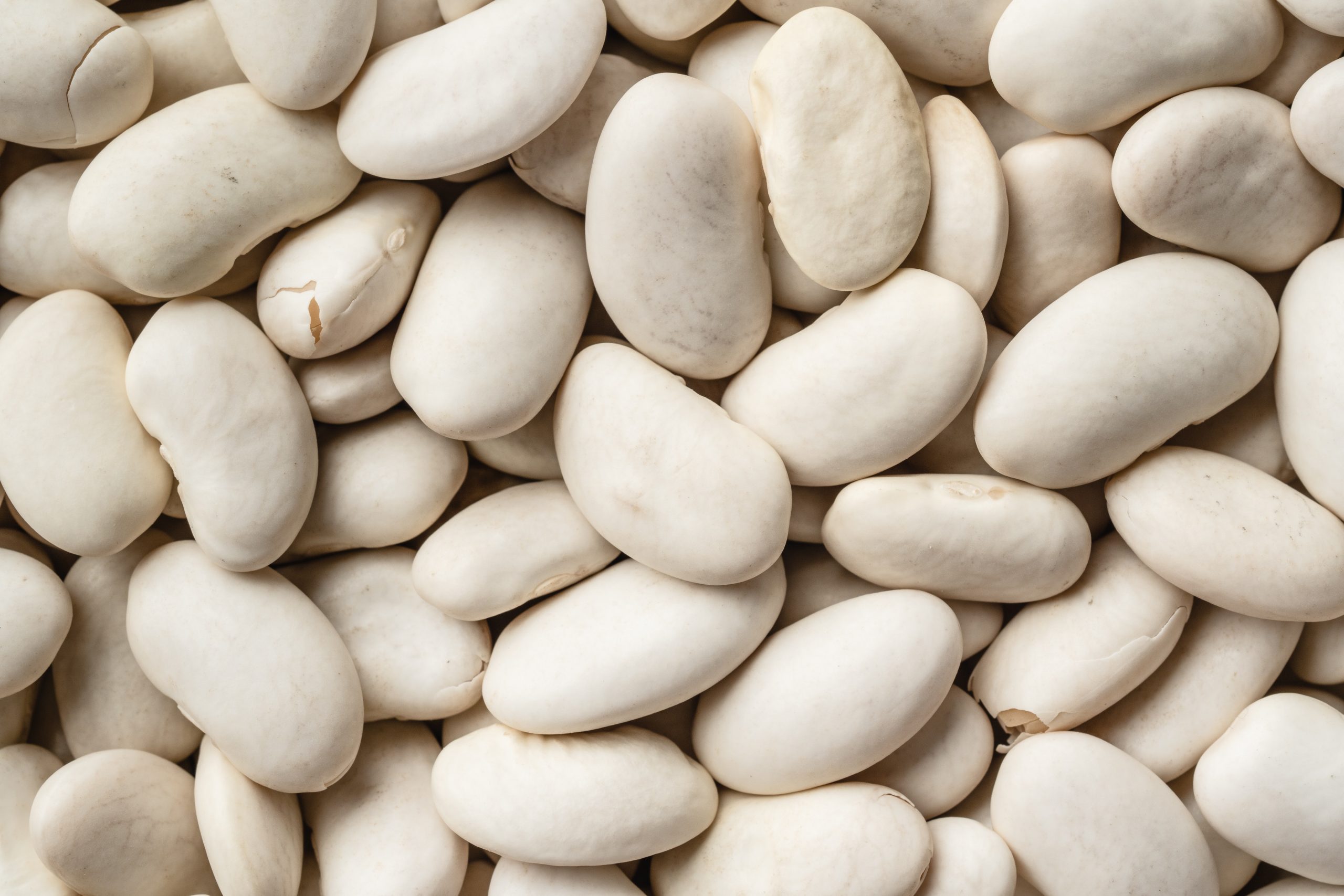 WHITE BEANS