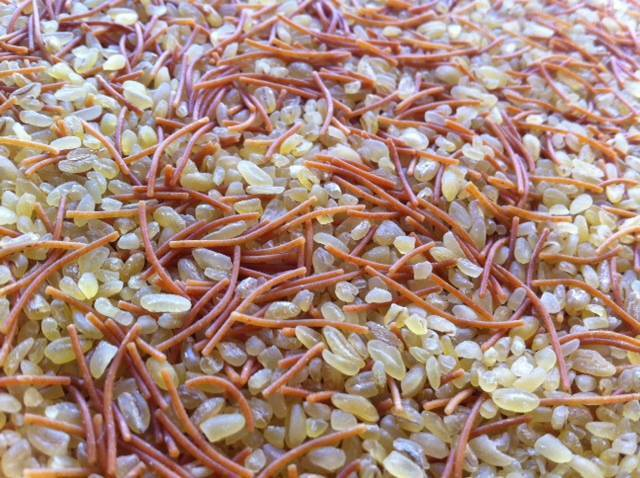 bulgur vermicelli