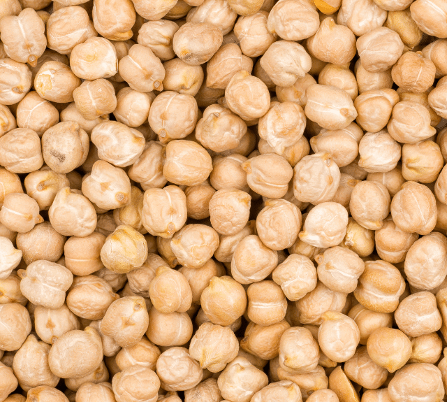 chickpea india 42 44