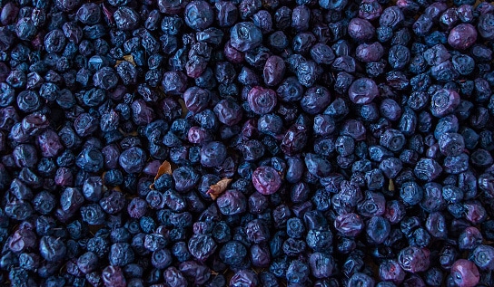 dried blueberry